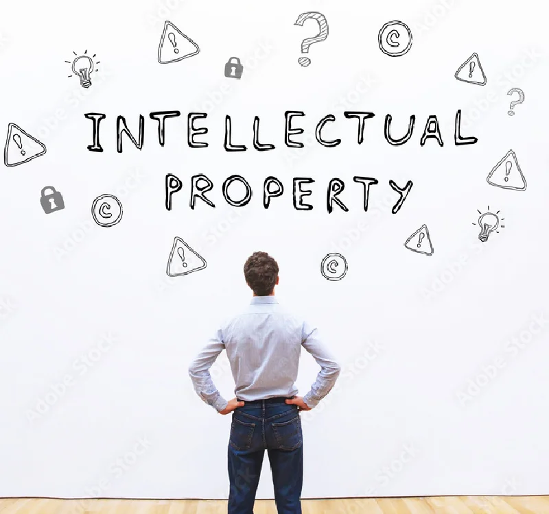 Intellectual Property Rights