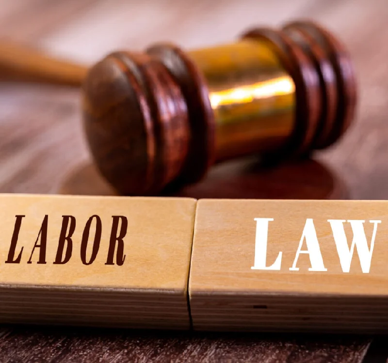 Labour & Employment Law